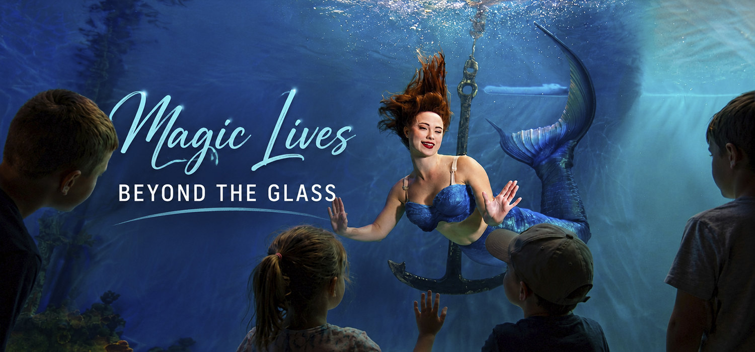 Mertailor's Mermaid Aquarium Encounter | Not Your Average Aquarium | Minutes from Crystal River