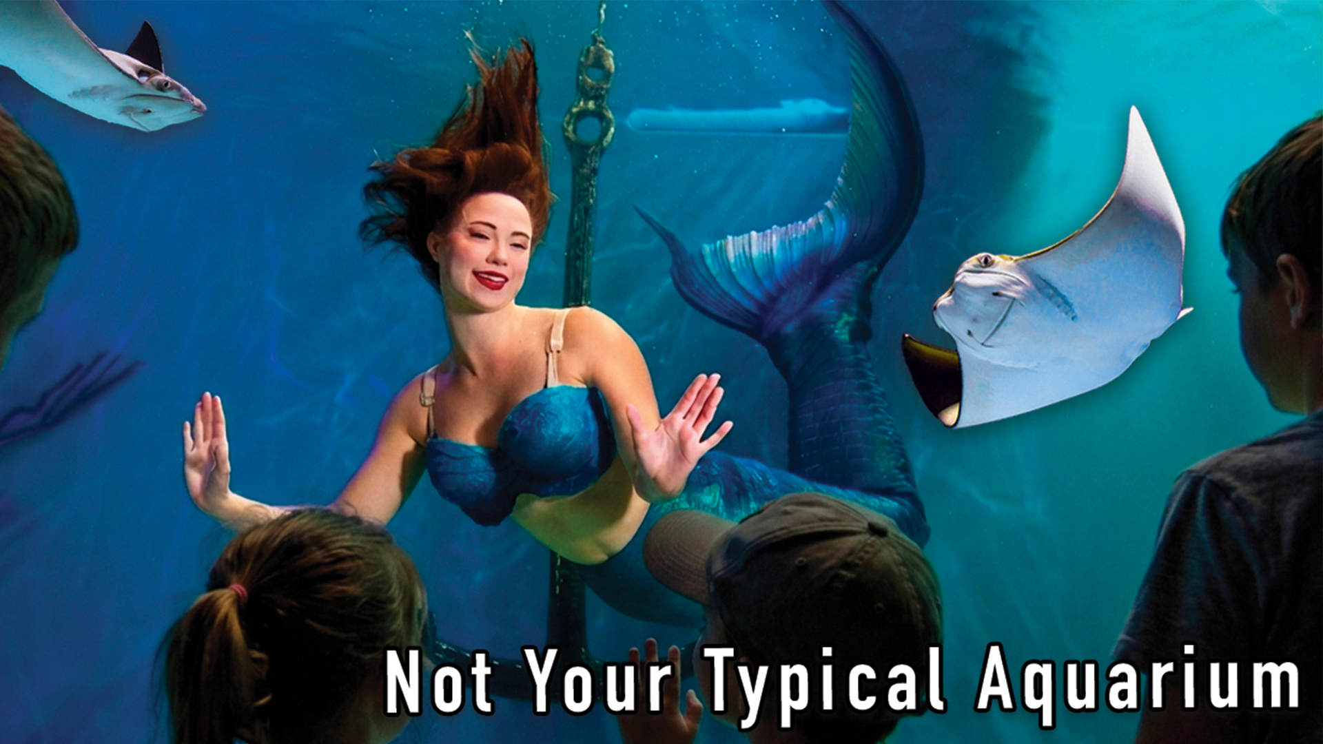 Mertailor's Mermaid Aquarium Encounter | Not Your Average Aquarium | Minutes from Crystal River