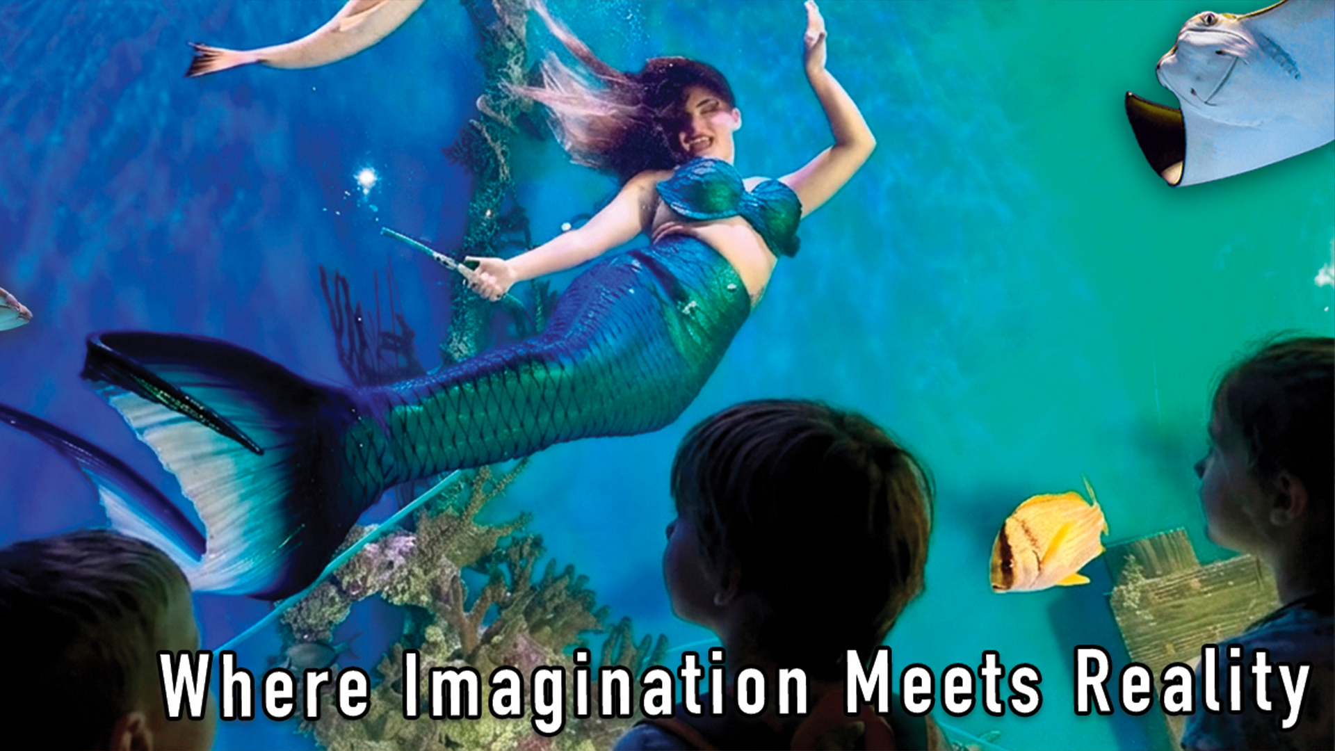 Mertailor's Mermaid Aquarium Encounter | Immersive Learning | Minutes from Crystal River