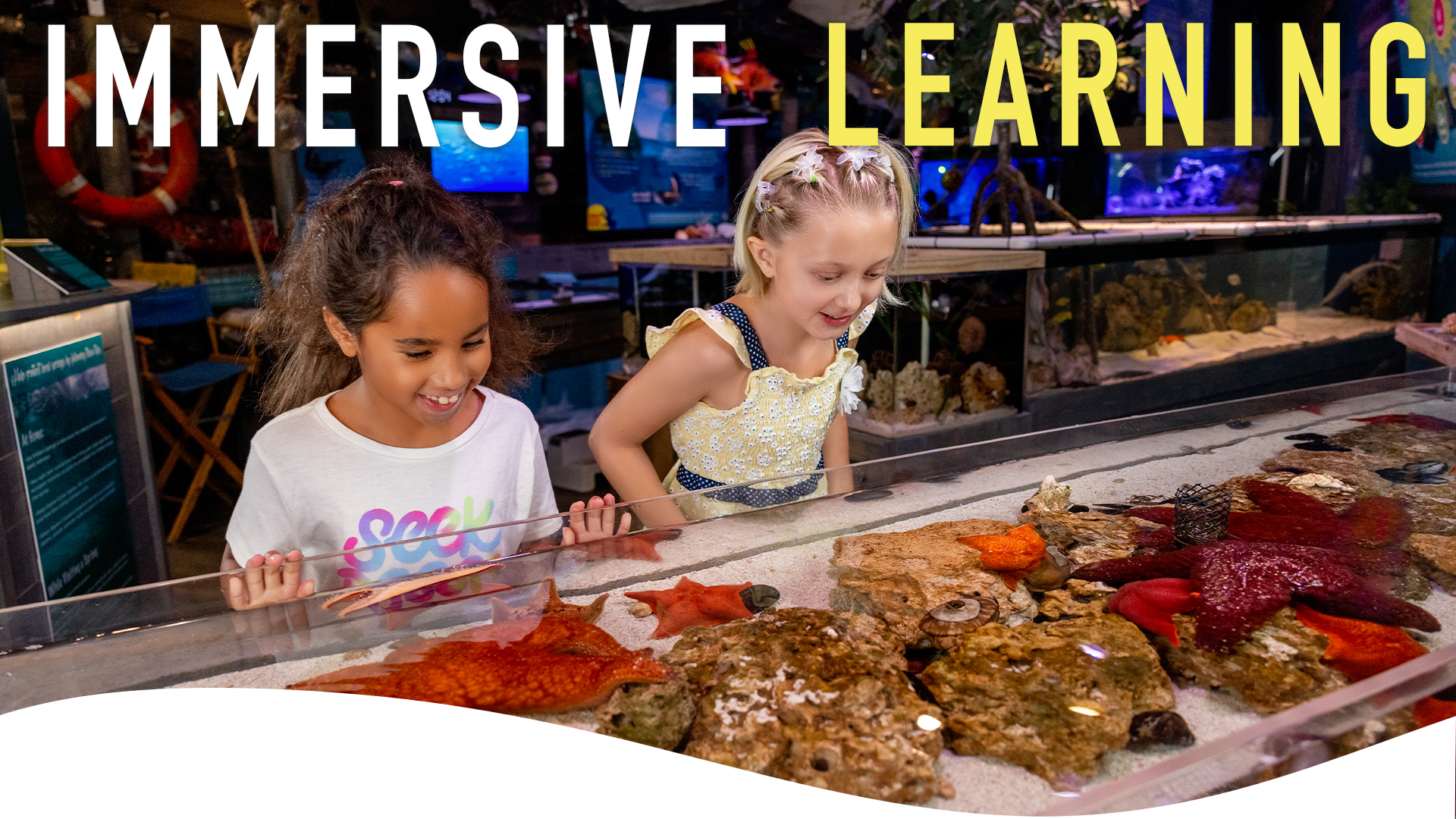 Mertailor's Mermaid Aquarium Encounter | Immersive Learning | Minutes from Crystal River