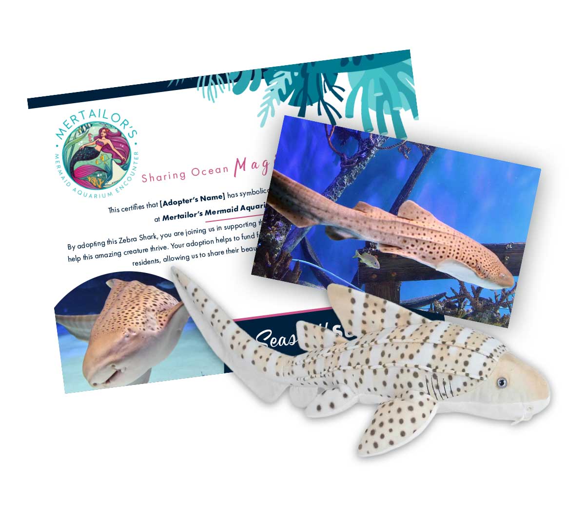 Mertailor symbolic animal adoption package with certificate gifts and plush animal