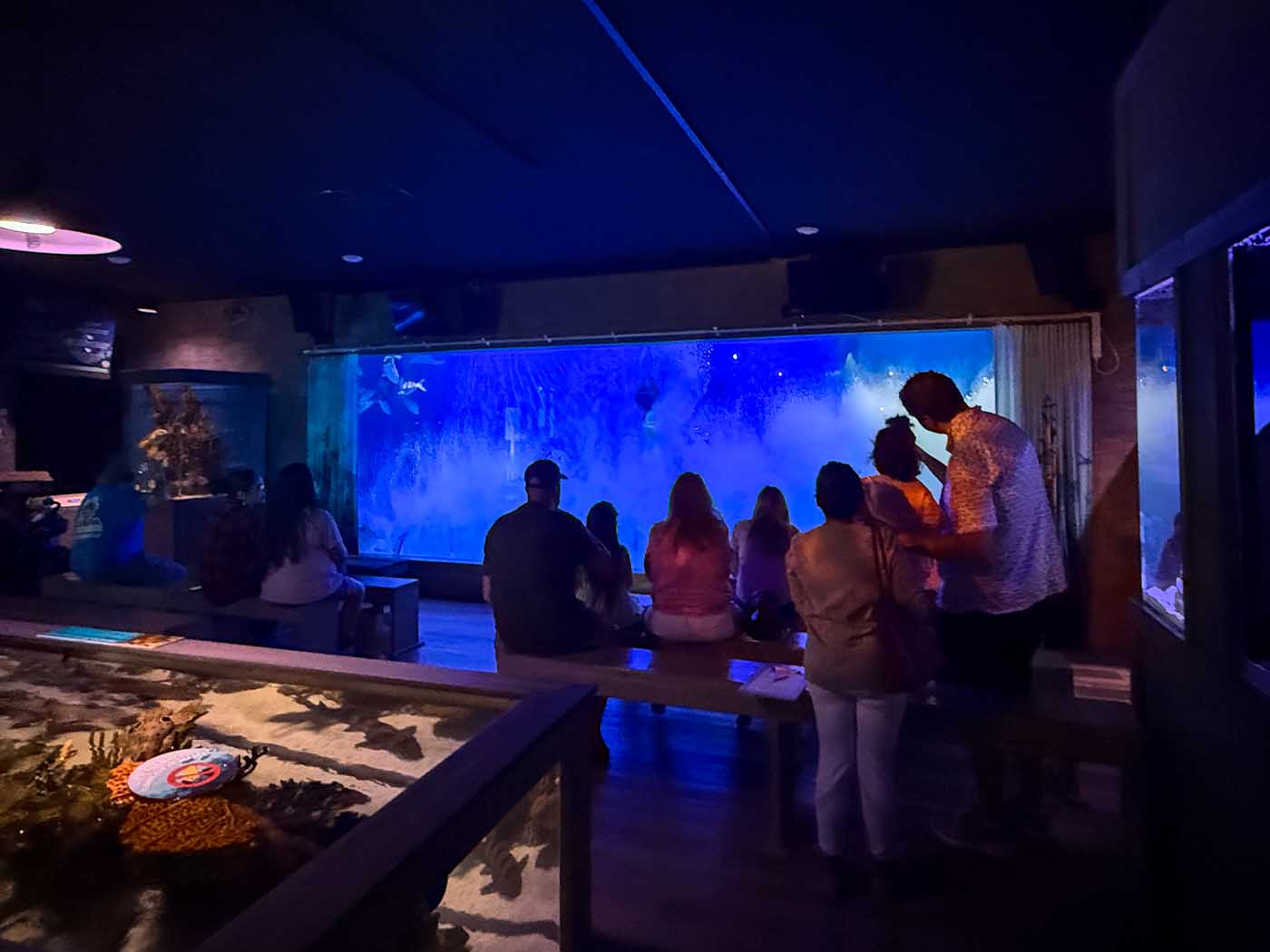 Adult birthday celebration at Mertailor's Mermaid Aquarium Encounter
