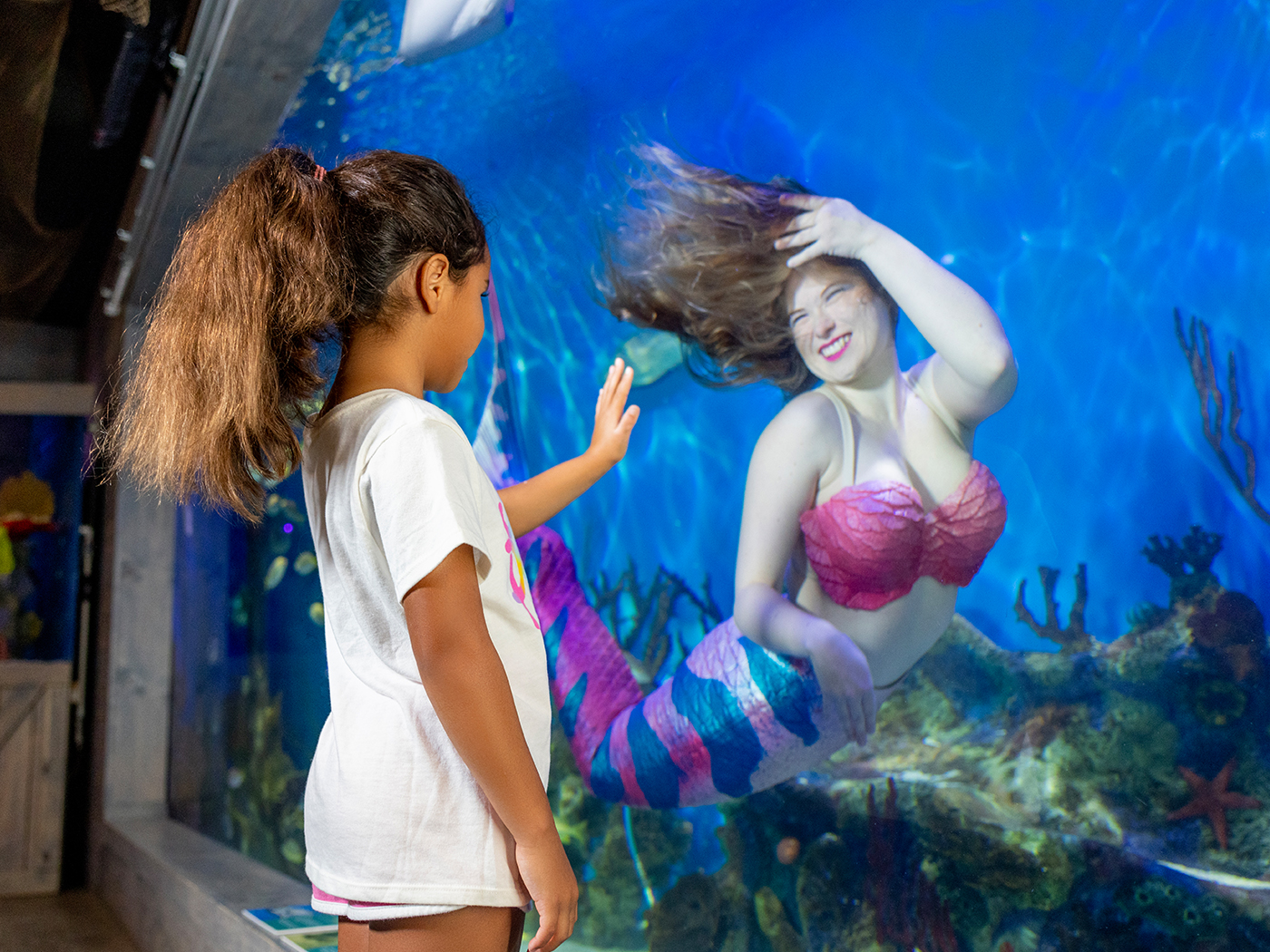 Birthday guest meeting a Mertailor mermaid