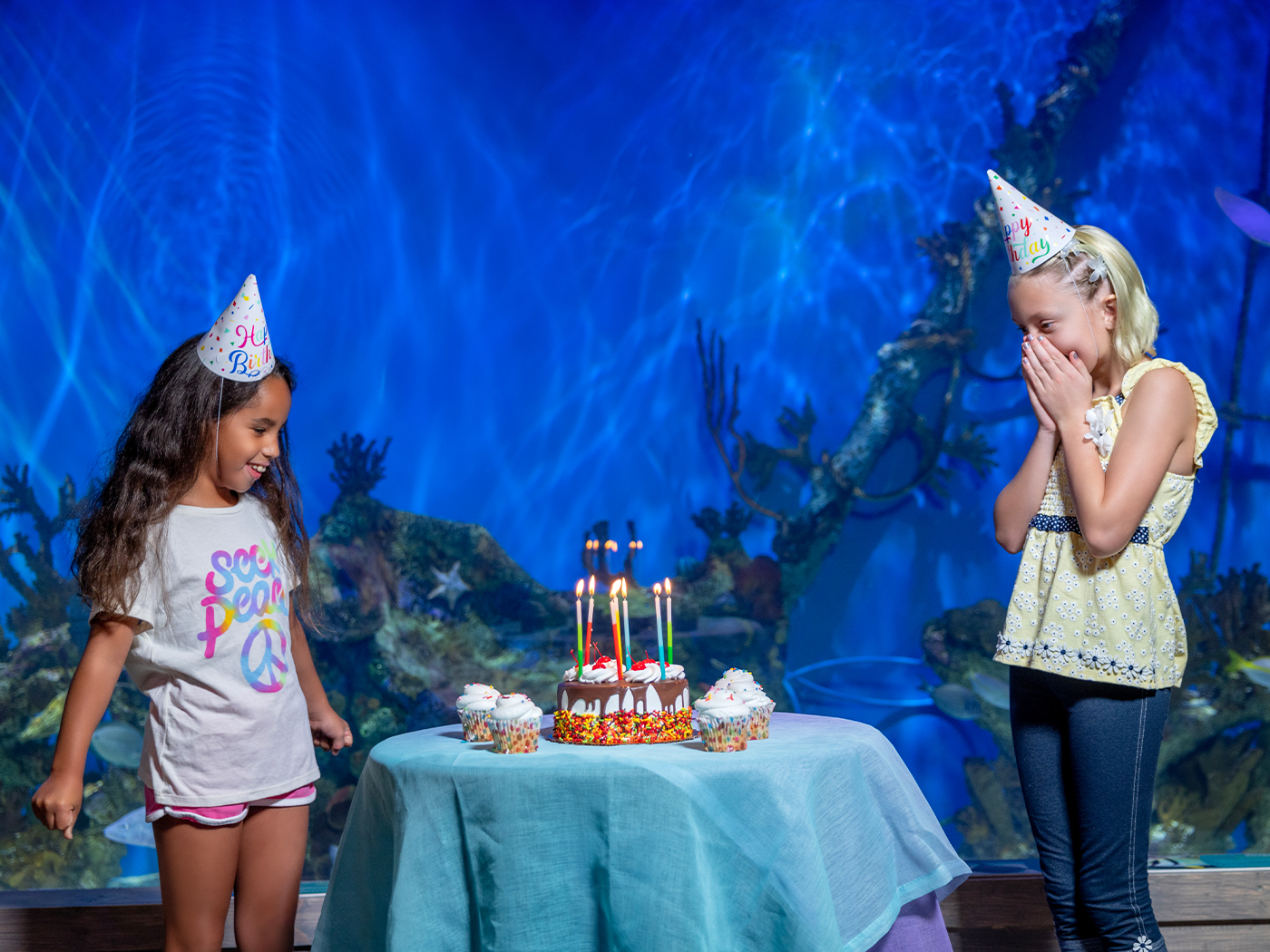 Private birthday party guests exploring the aquarium