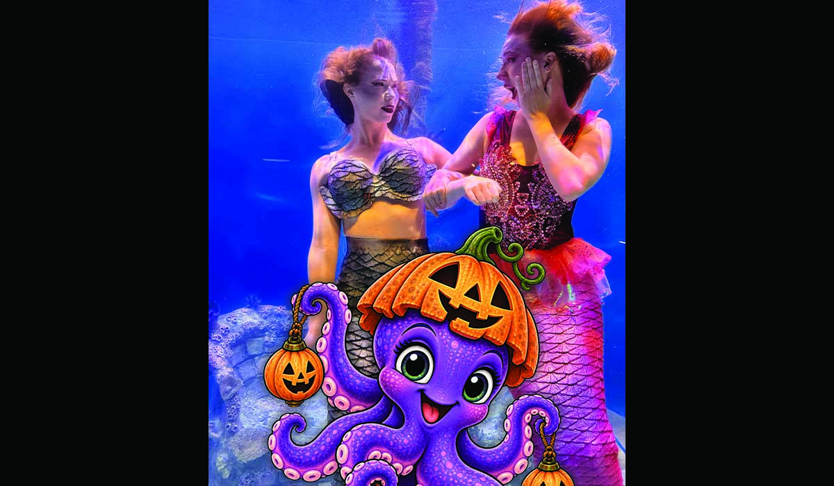 Annual Halloween event at Mertailor's Mermaid Aquarium Encounter.