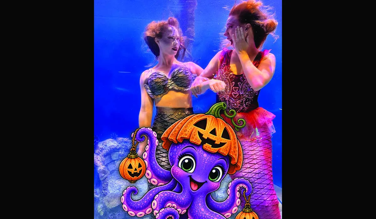 Annual Halloween event at Mertailor's Mermaid Aquarium Encounter.