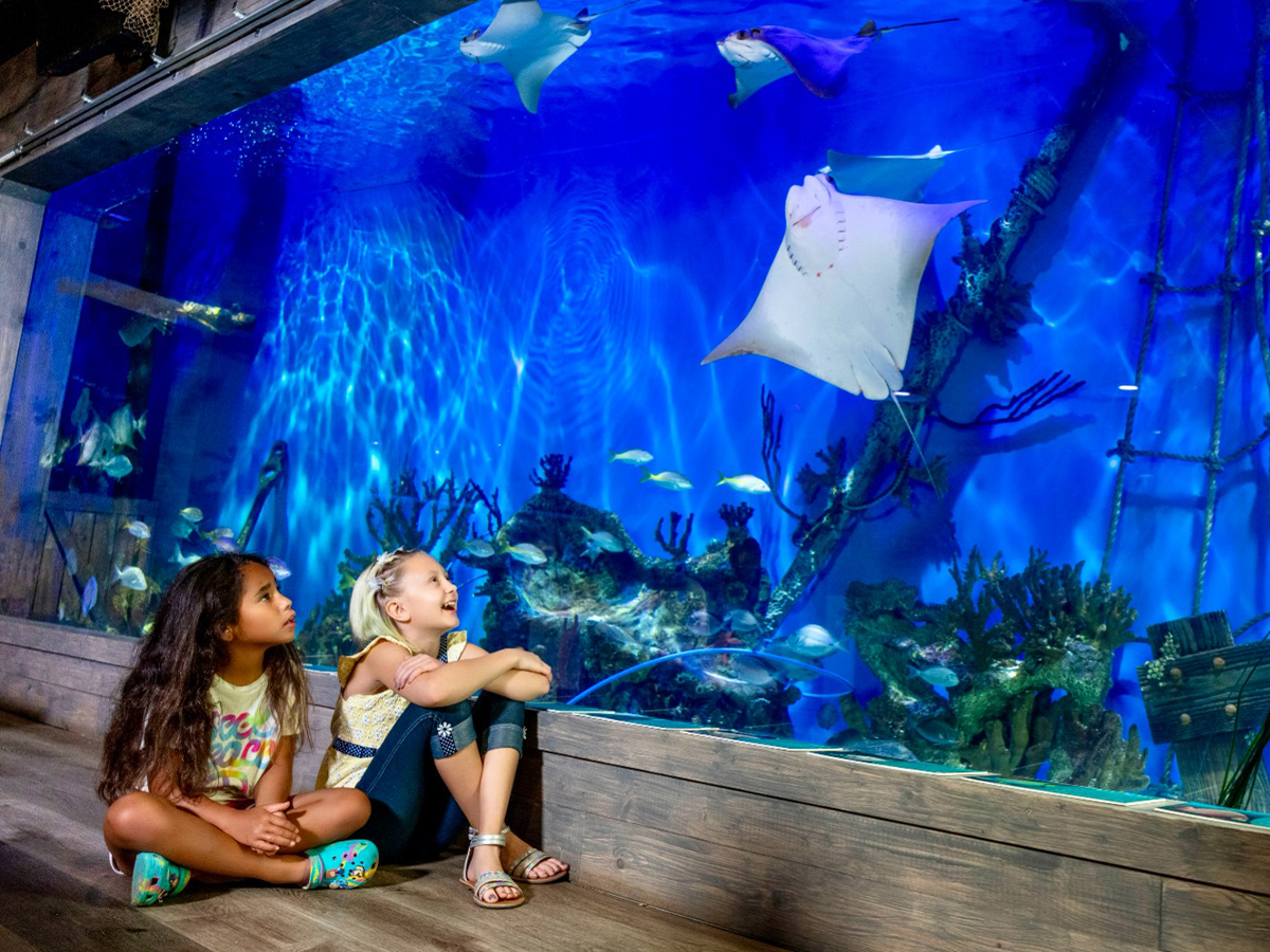 Family enjoying the exhibits at Mertailor's Mermaid Aquarium Encounter