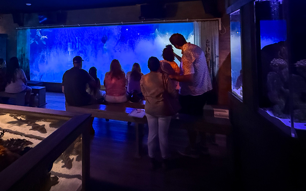 Social media content being created during a visit to Mertailor's Mermaid Aquarium Encounter