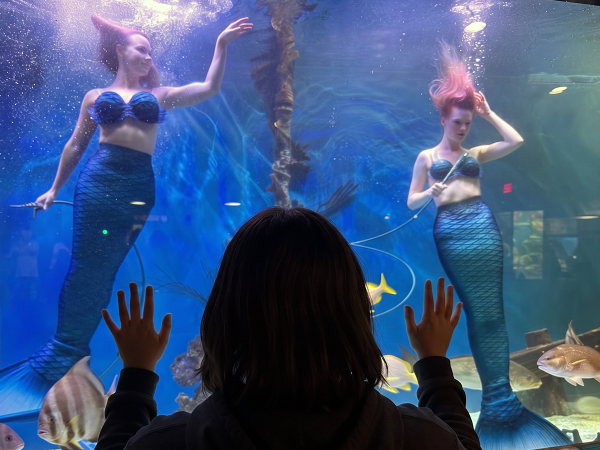 Creator capturing a live mermaid experience at Mertailor's Mermaid Aquarium Encounter