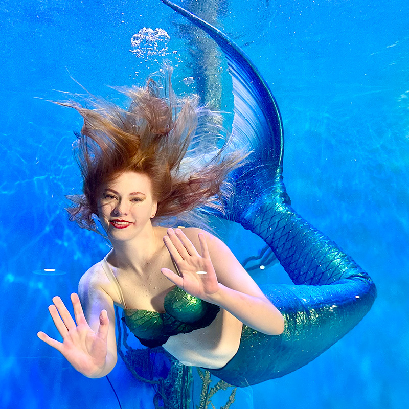 Live underwater mermaid performer at Mertailor's Mermaid Aquarium Encounter