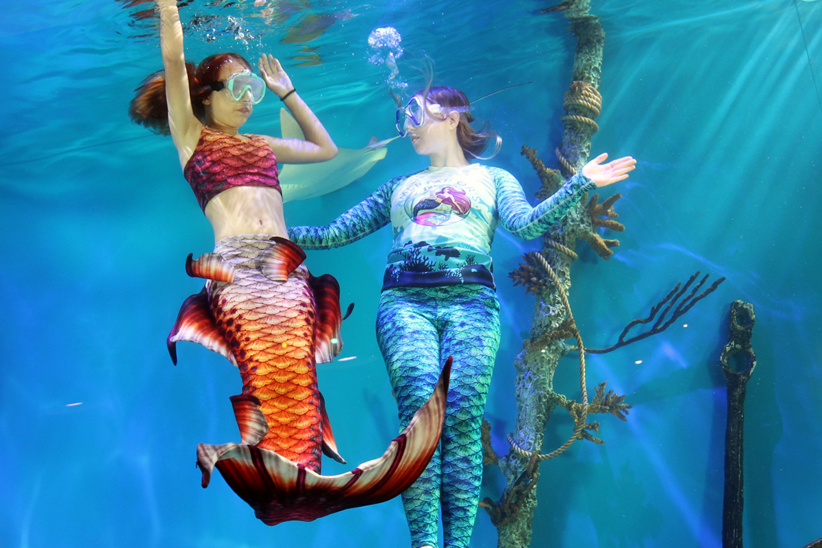 Become a mermaid experience