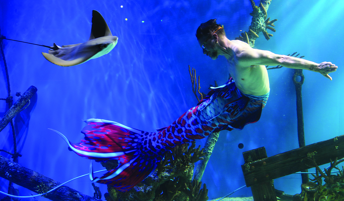 Mermaid participant swimming with tropical fish at Mertailor Aquarium