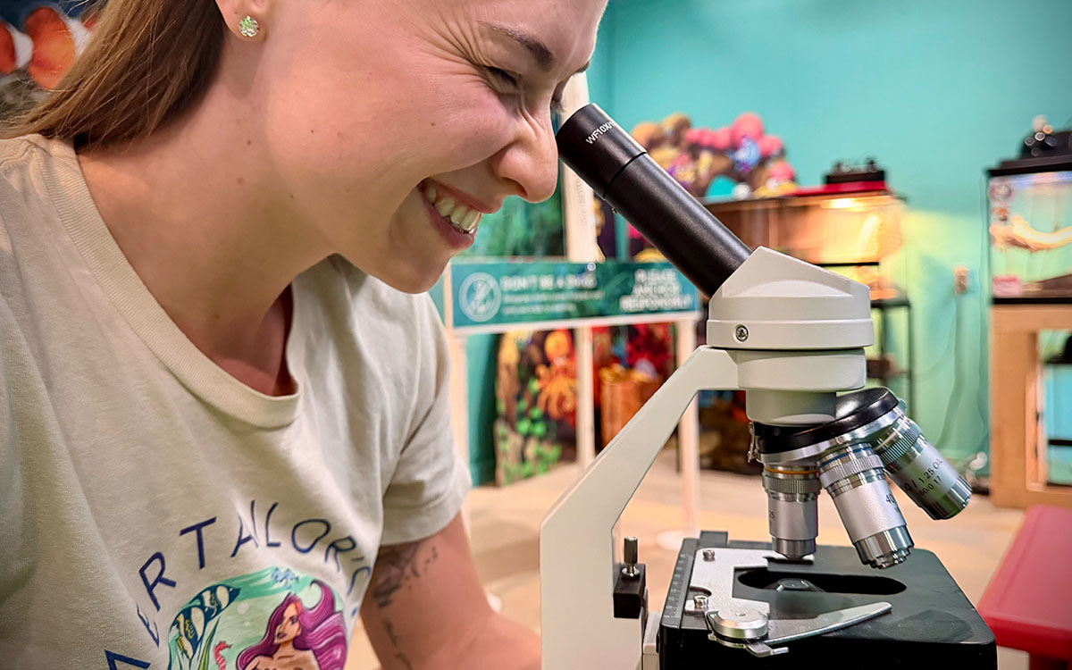 Classroom and educational programming at Mertailor's Mermaid Aquarium Encounter
