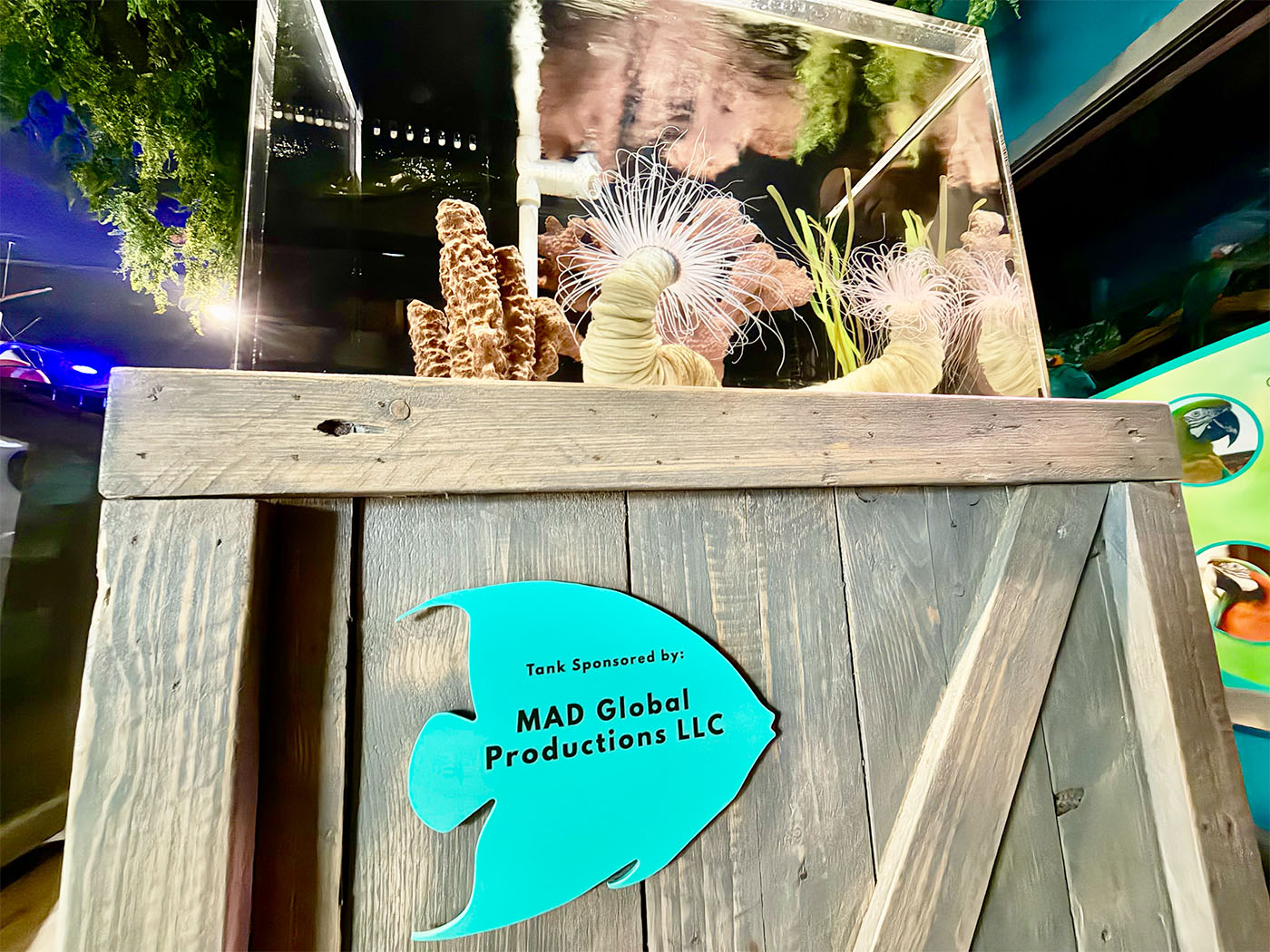 Mertailor's Mermaid Aquarium Encounter sponsorship opportunities