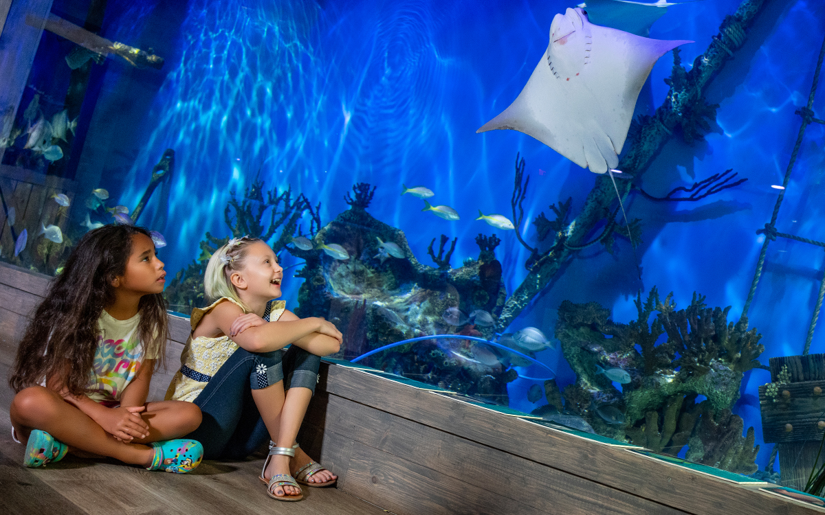 Homeschool students exploring an aquarium exhibit