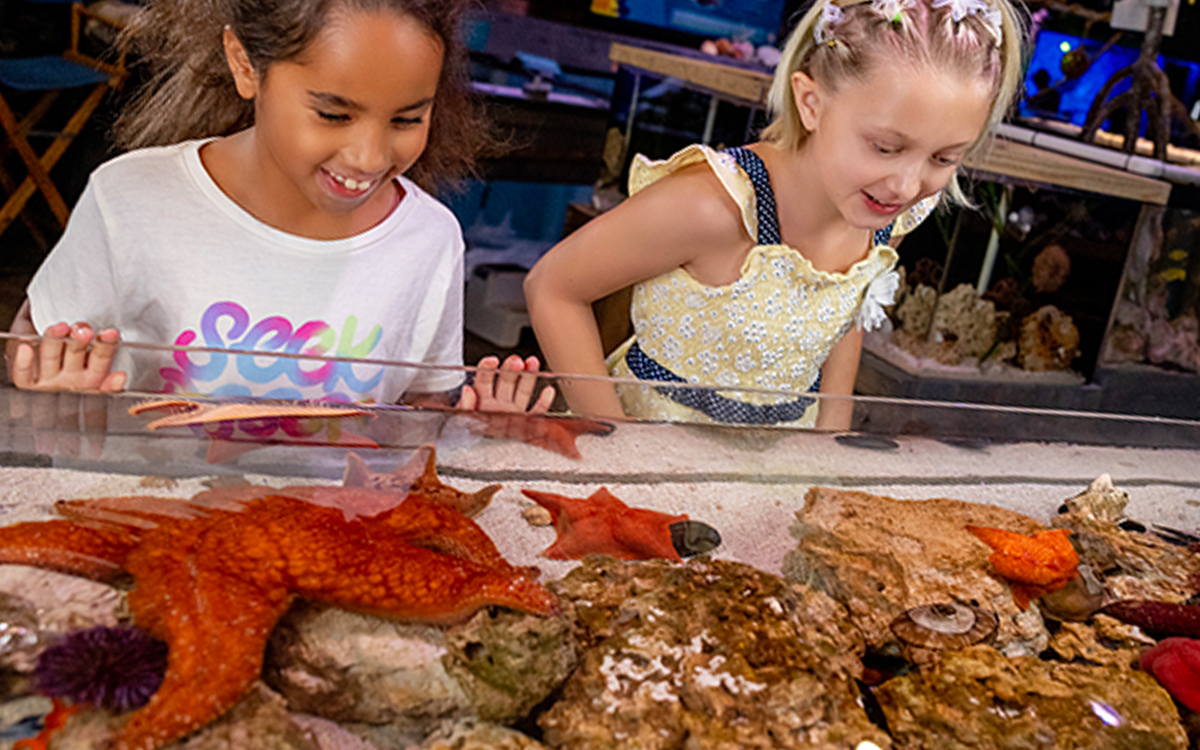 Students participating in hands-on aquarium learning