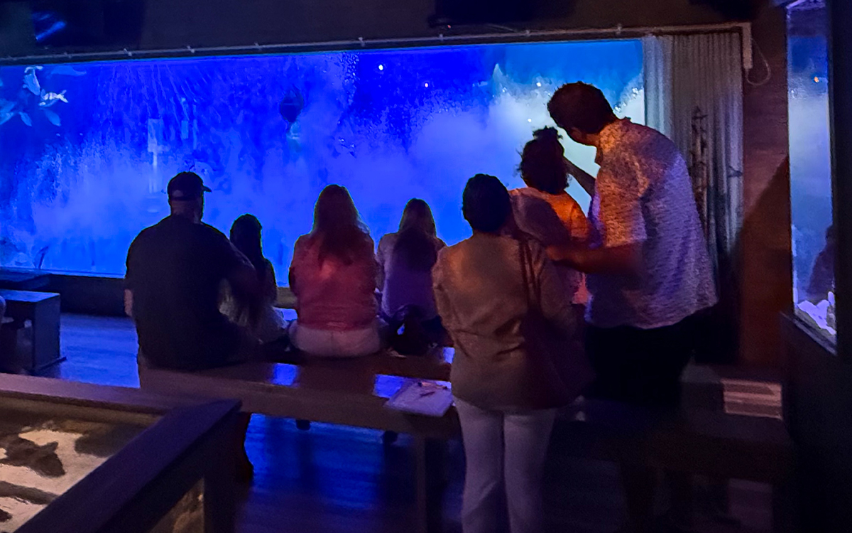 Family visiting Mertailor's Mermaid Aquarium Encounter in Lecanto, Florida