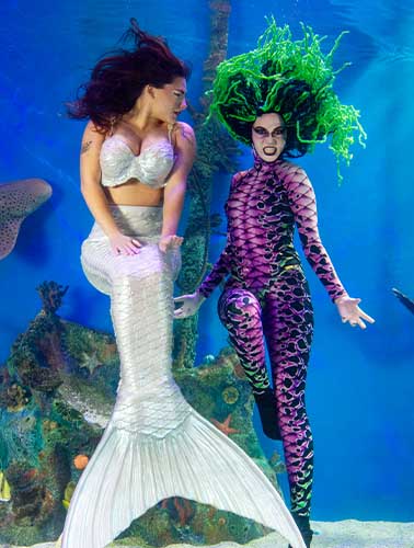 Little Mermaid Show Performed at Mertailor's Mermaid Aquarium Encounter