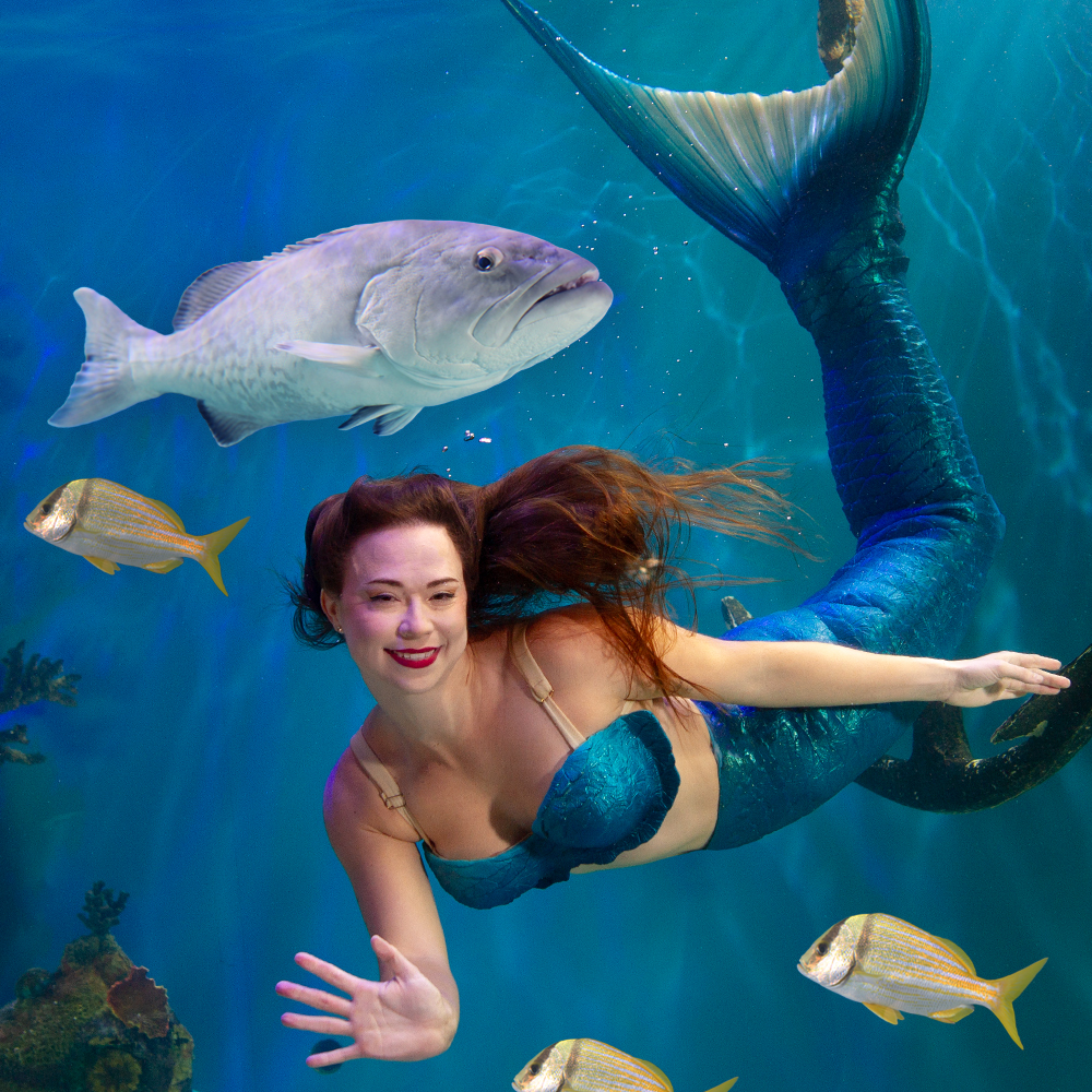 Inside Mertailor's Mermaid Aquarium Encounter