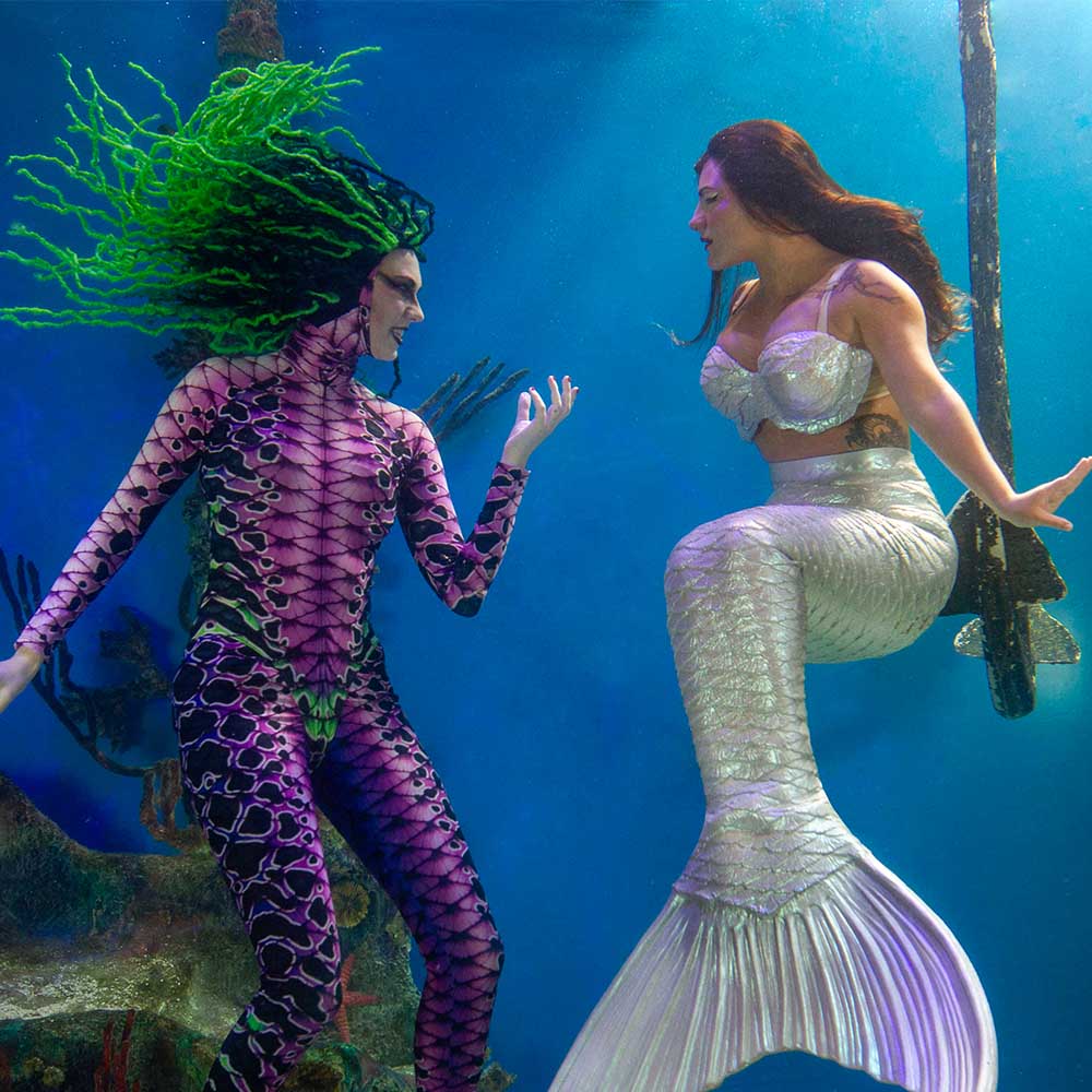 Mertailor mermaid gliding through the aquarium