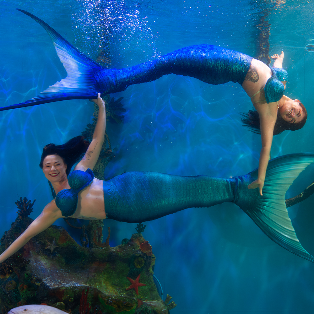 Mertailor underwater performer in a mermaid show