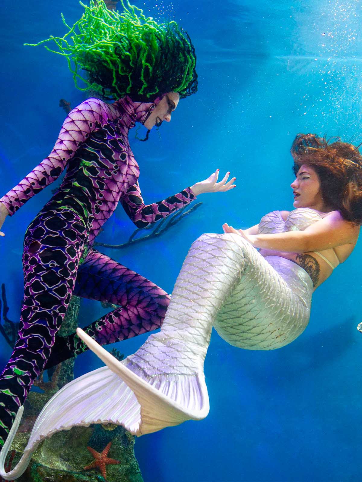 Mertailor mermaid performing underwater at Mertailor's Mermaid Aquarium Encounter
