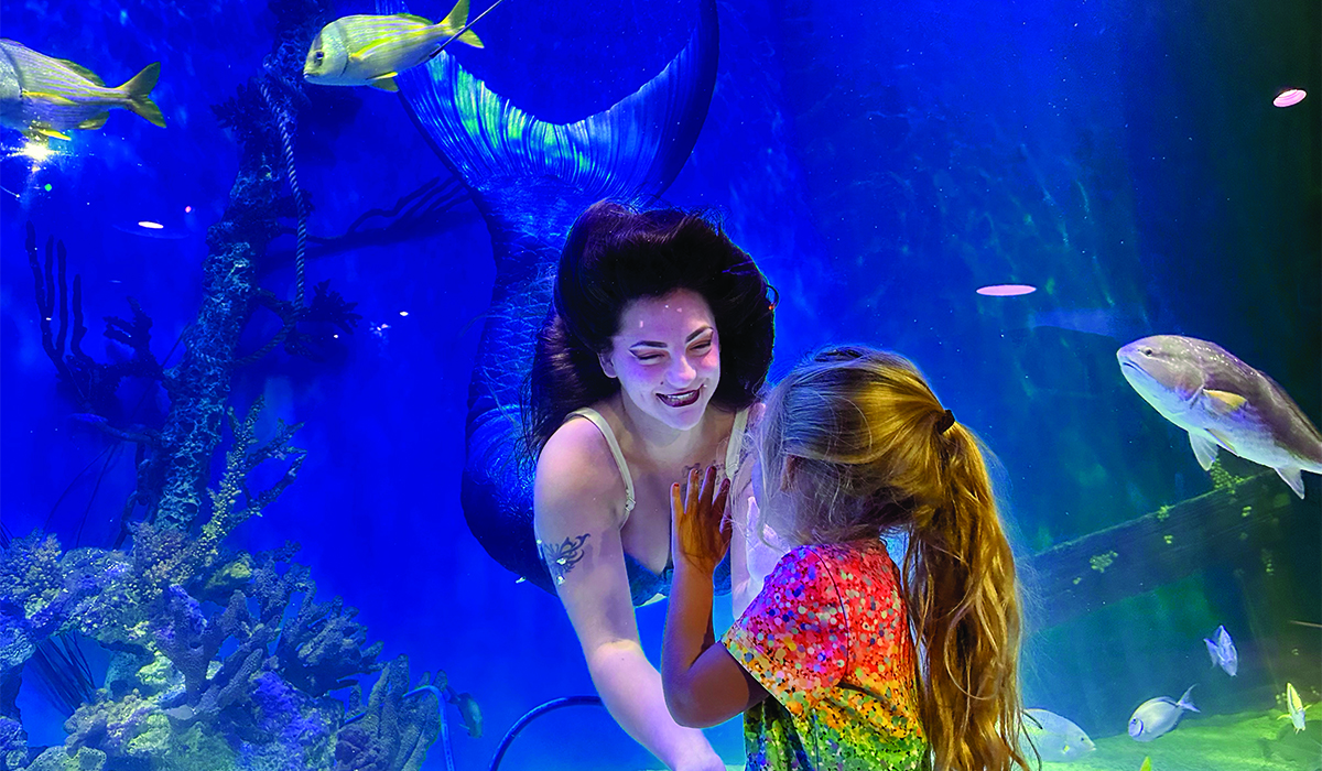 Mermaid gliding alongside tropical fish in aquarium