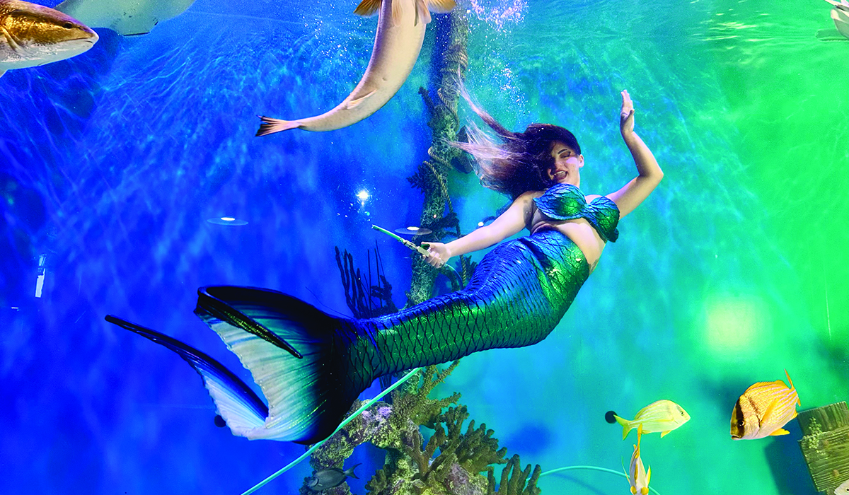 Mertailor mermaids performing in aquarium exhibit with rays and tropical fish