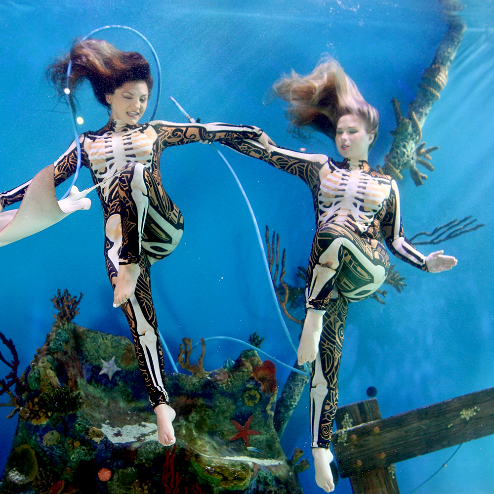 Mermaid performer swimming with tropical fish at Mertailor's Mermaid Aquarium Encounter