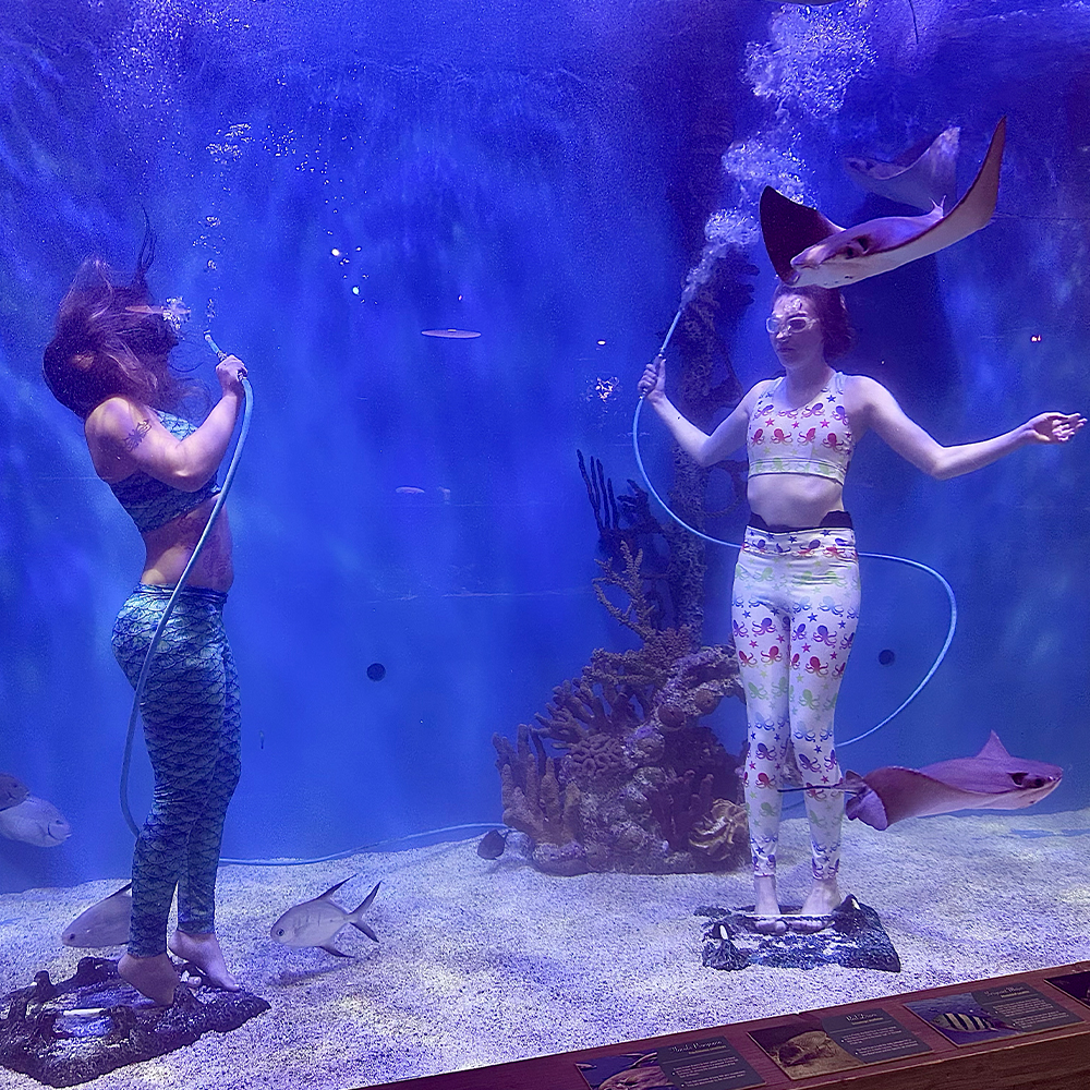 Mertailor underwater performer demonstrating controlled movement and breath technique