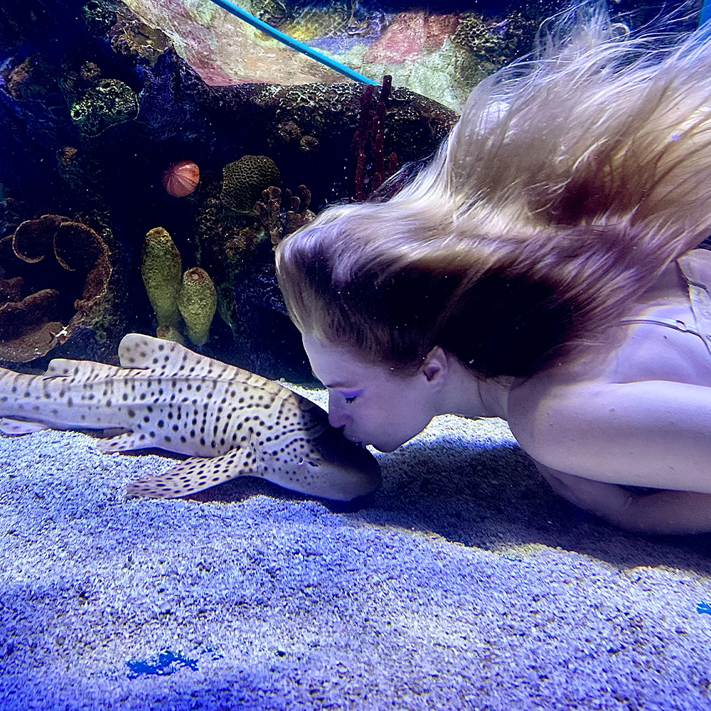 Mertailor mermaid performing in an aquarium habitat with tropical fish