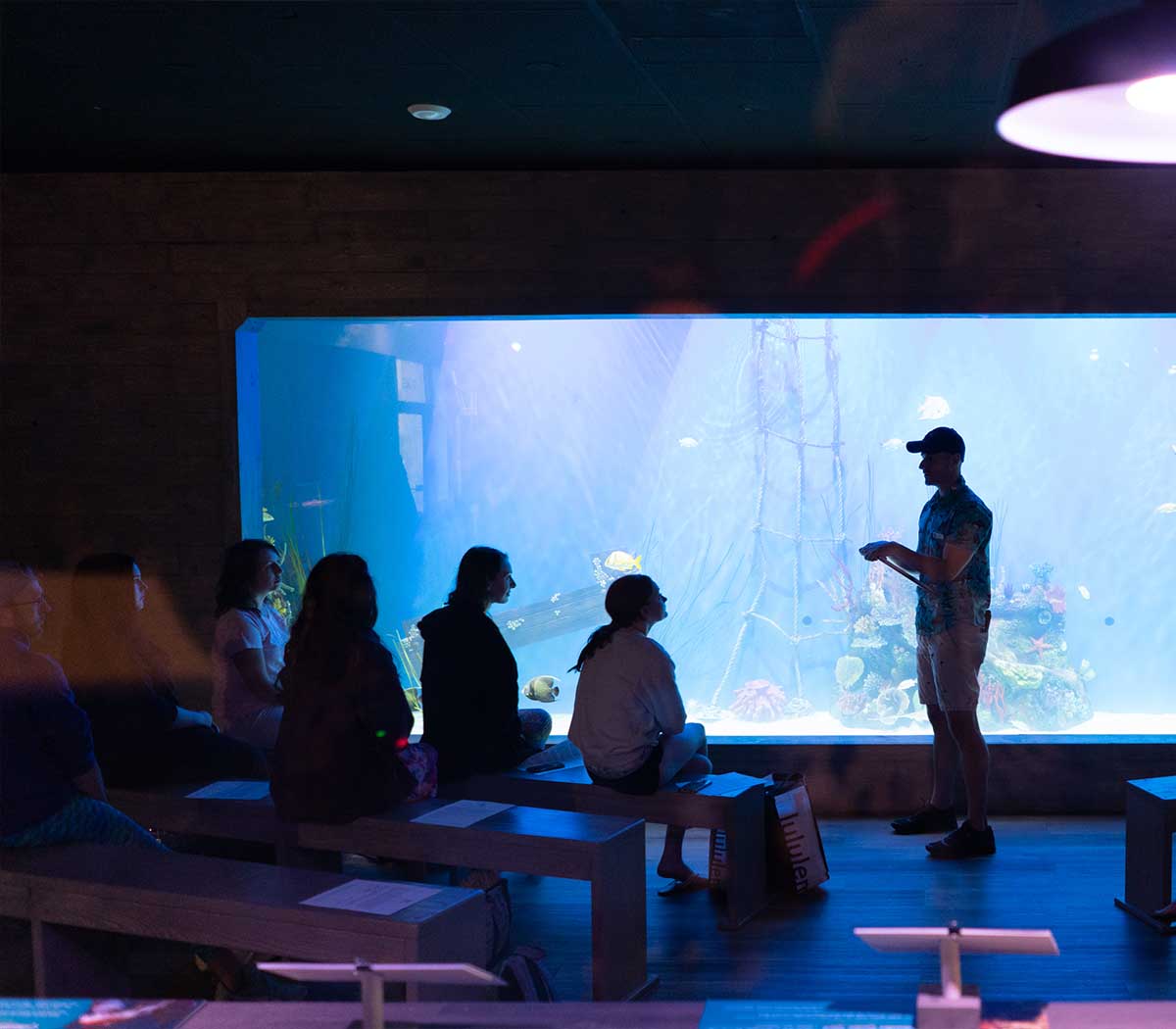 Families exploring Mertailor's Mermaid Aquarium Encounter near Crystal River Florida
