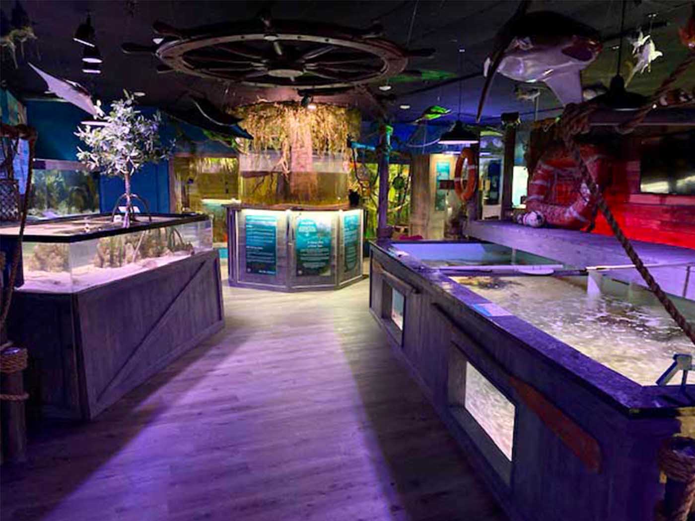 Mertailor's Mermaid Aquarium Encounter in Lecanto Florida