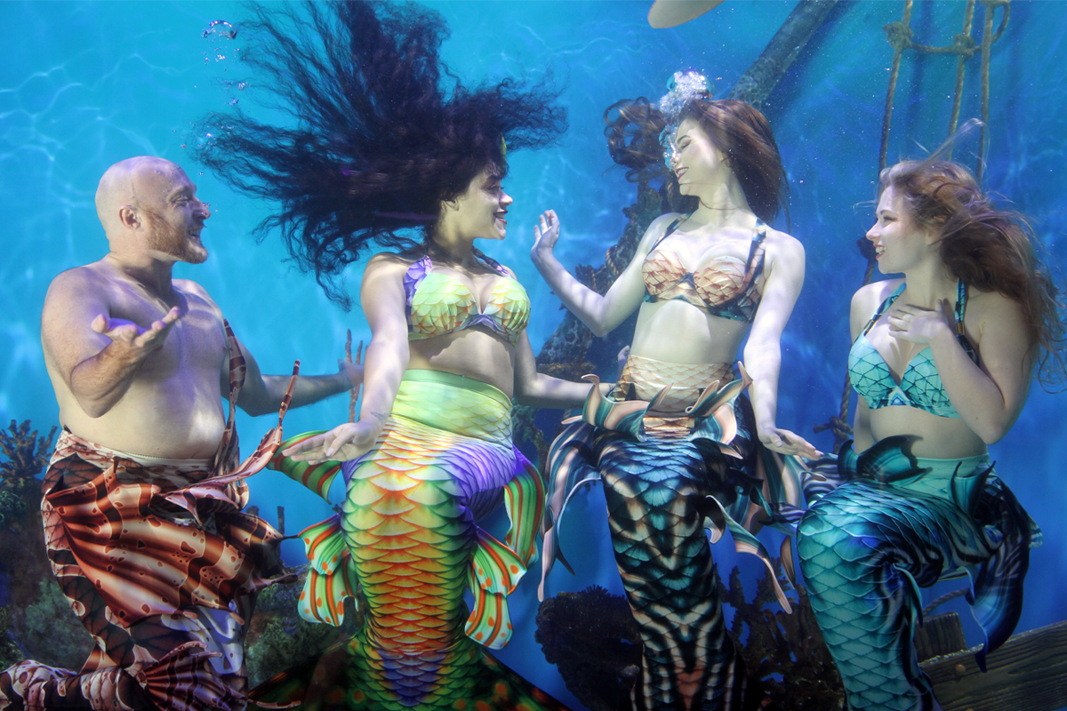 Student performing underwater mermaid choreography in aquarium exhibit