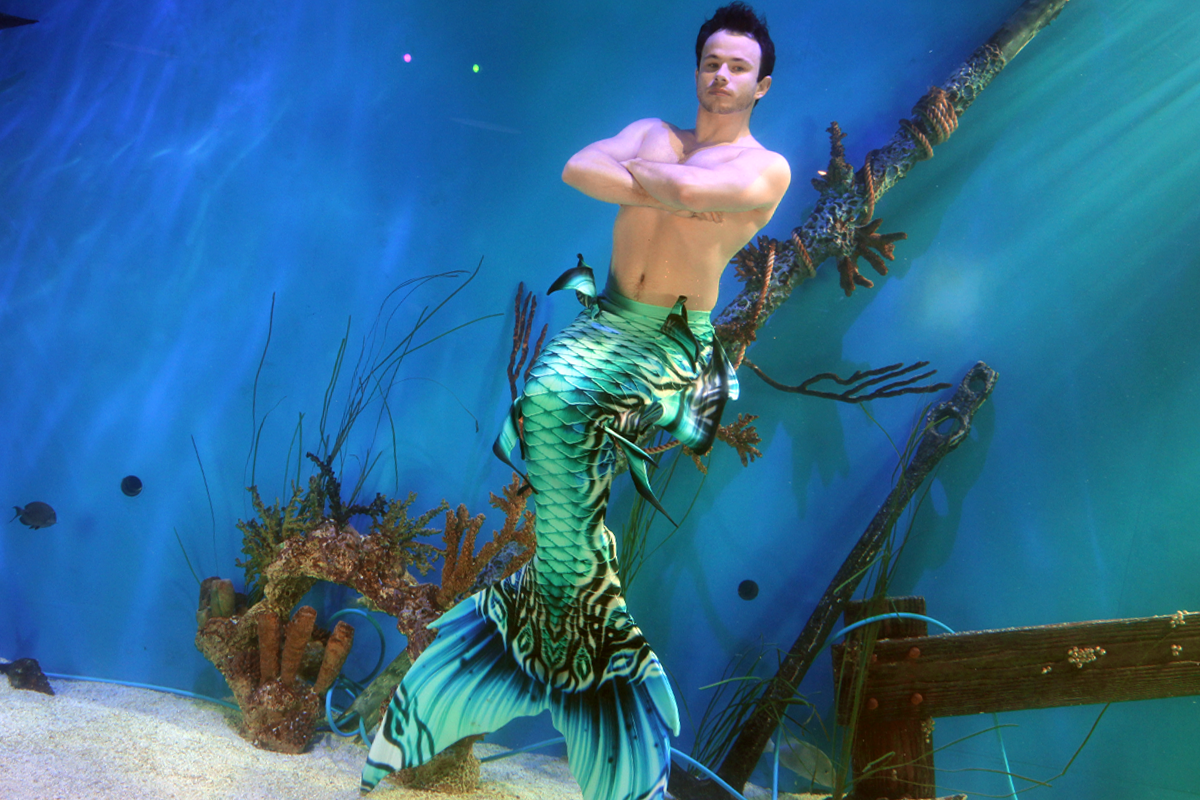 Student practicing advanced mermaid skills in aquarium habitat