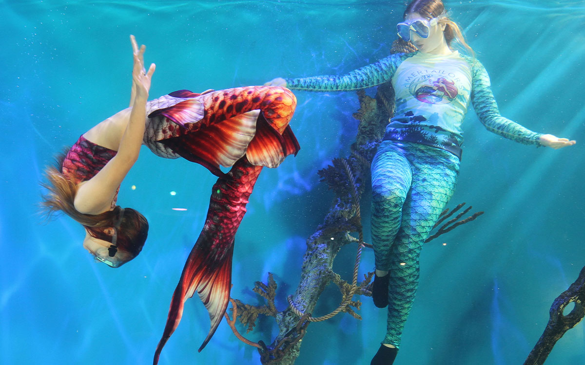 Discover Mermaid swimming experience at Mertailor