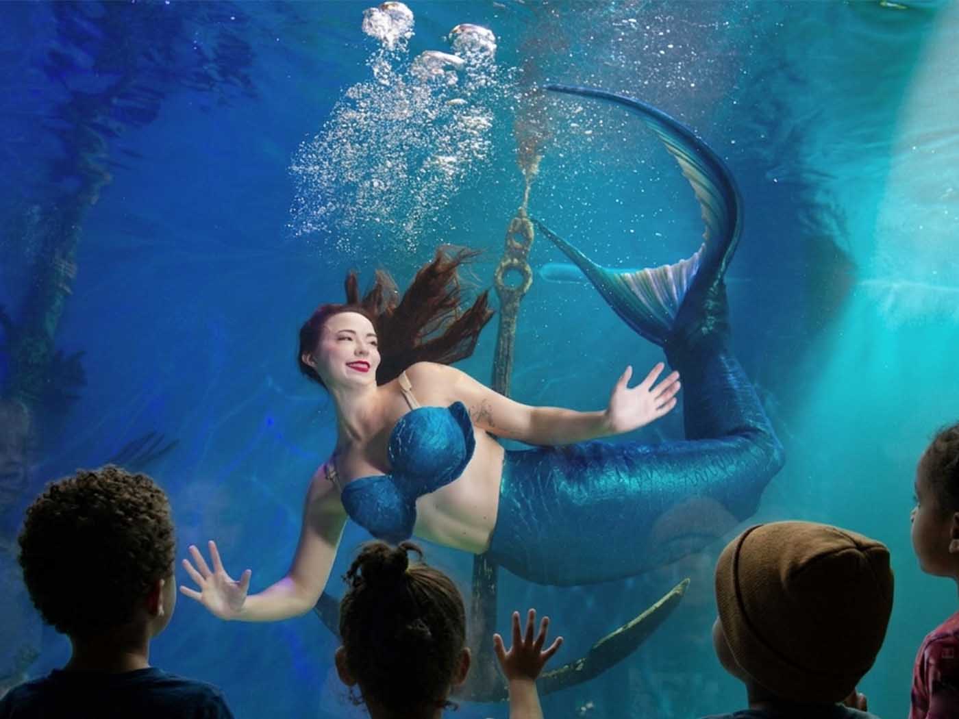 Family visiting Mertailor's Mermaid Aquarium Encounter in Lecanto Florida