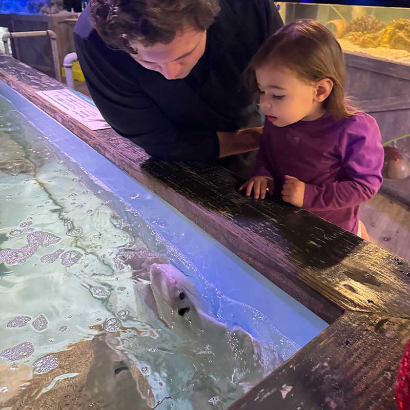 Family activity after a Crystal River wildlife or springs tour