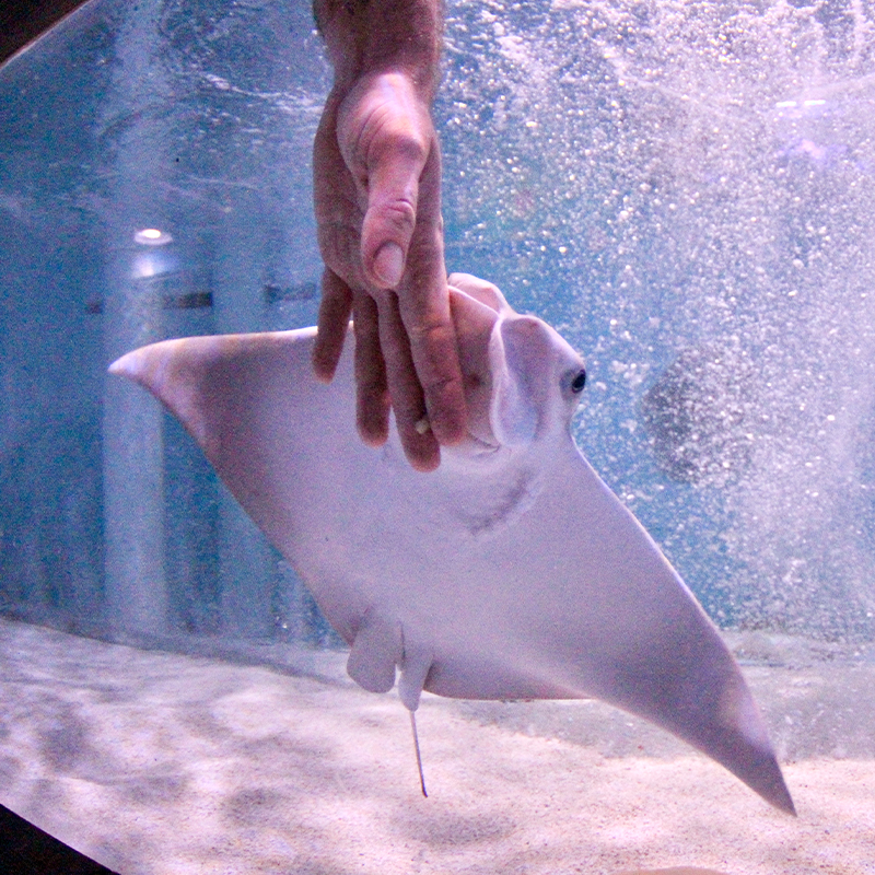 Indoor family attraction after a morning in Crystal River