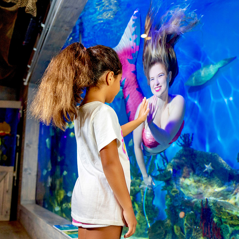 Children enjoying an aquarium after a Crystal River morning activity