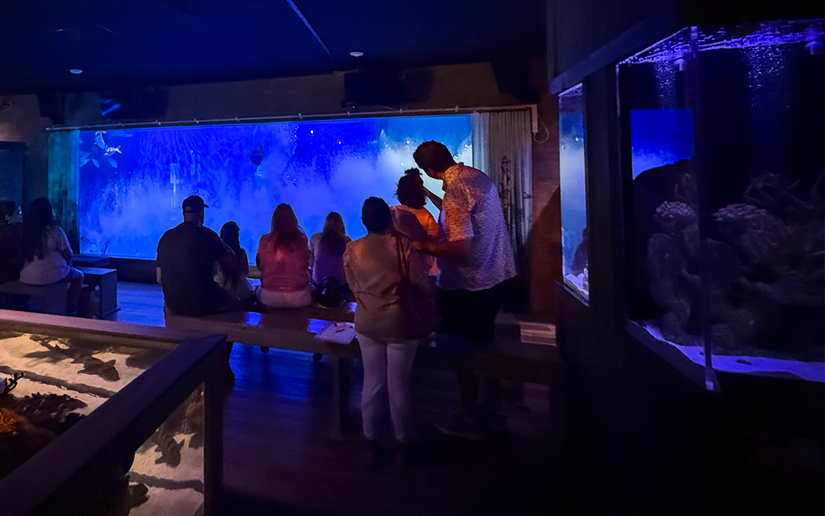 Family visiting Mertailor's Mermaid Aquarium Encounter in the afternoon