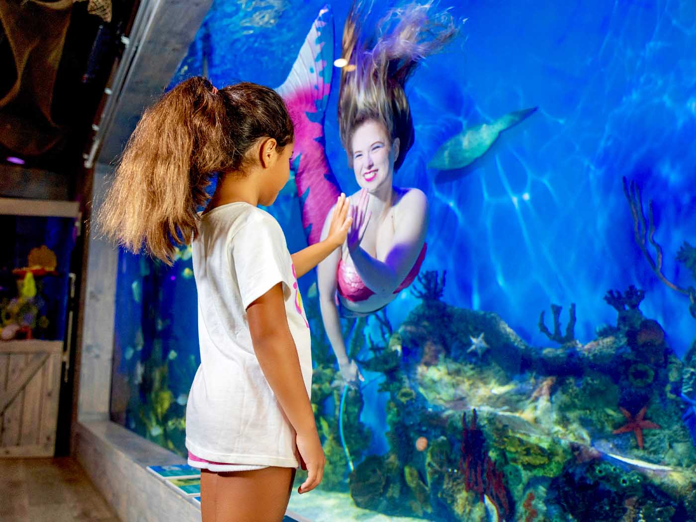 Family enjoying Mertailor's Mermaid Aquarium Encounter near Crystal River Florida