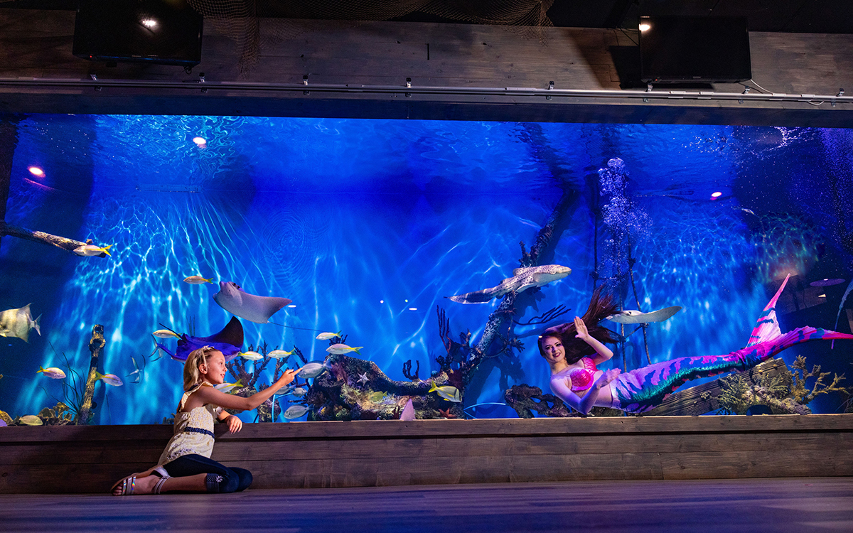 Family watching a live mermaid show during a Crystal River day trip