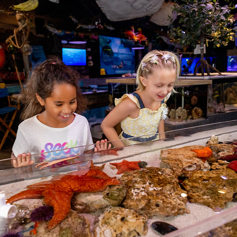 Family with children exploring Crystal River and Citrus County