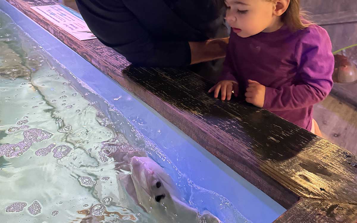 Family enjoying an indoor aquarium experience near Crystal River