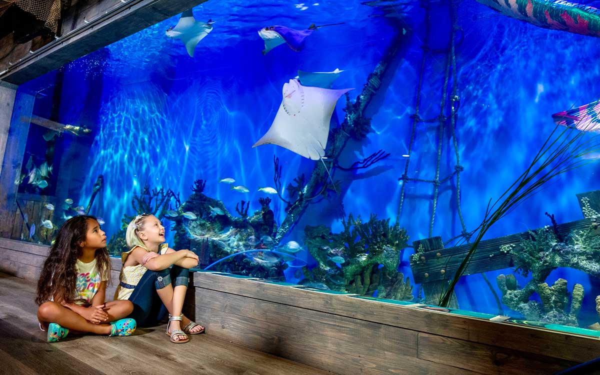 Indoor family attraction near Crystal River Florida