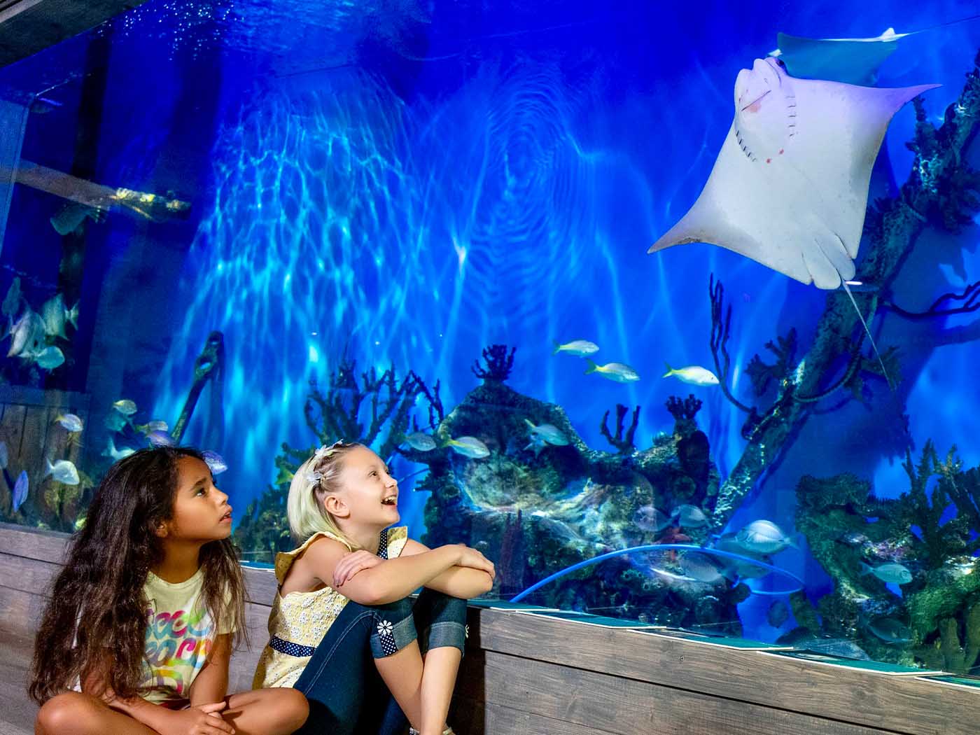Indoor aquarium attraction near Crystal River Florida