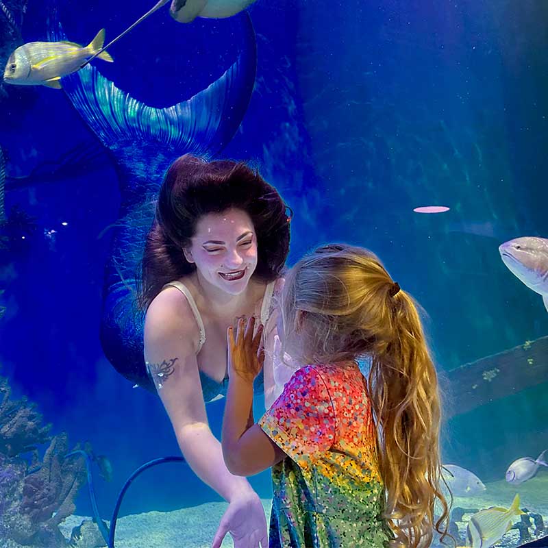 Children watching a live mermaid performance