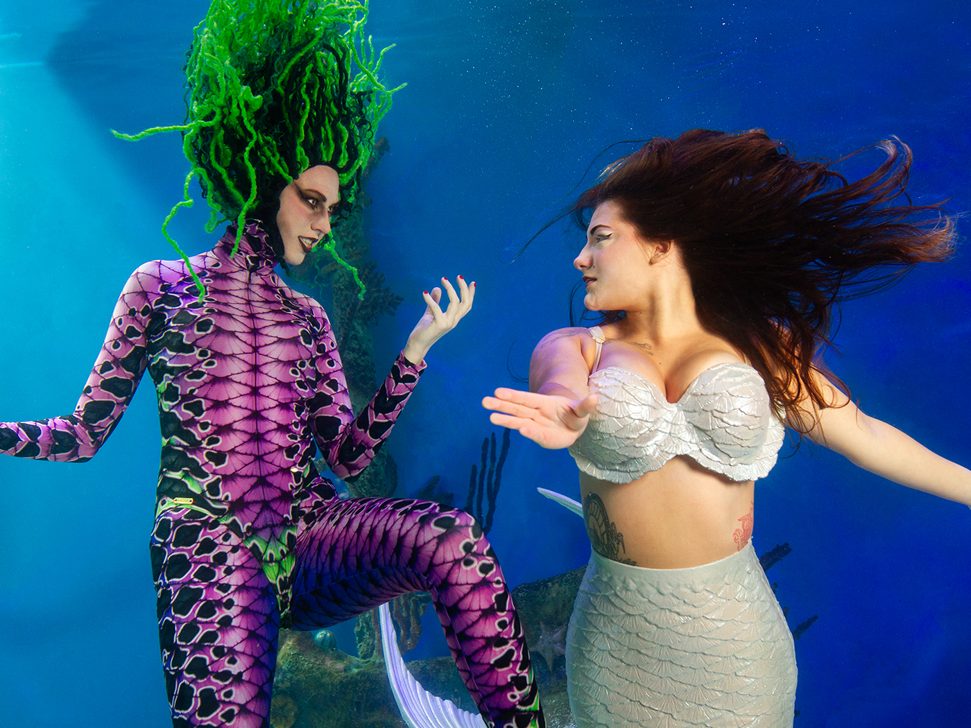 Live mermaid performing underwater at Mertailor's Mermaid Aquarium Encounter in Florida