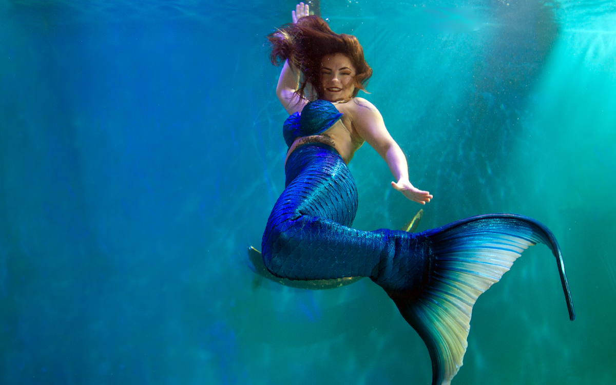 Mermaid performing inside a living aquarium habitat in Florida